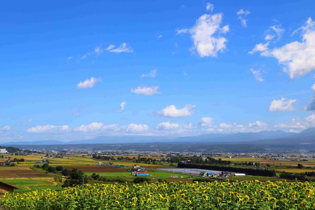 富良野を一望