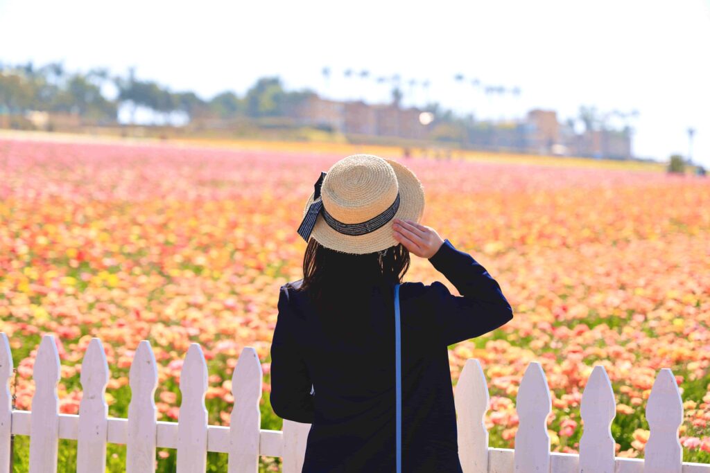 フラワーフィールズの花畑と白い柵