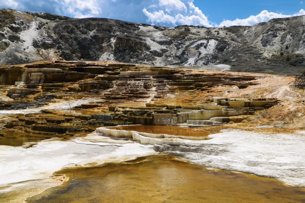 yellowstone national park マンモスホットスプリングス